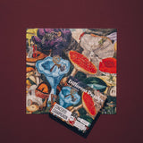Concerto Champignon | 500 Piece Puzzle
